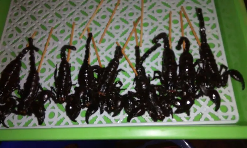 Scorpioni e insetti fritti venduti come street food a Bangkok